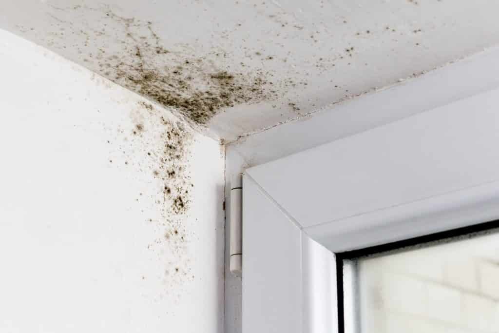 Mold Assessment Services Mold testing and mold inspection in Miami FL. MAS also provides indoor air quality testing, and lead in water testing in Miami FL. 305-244-7379.