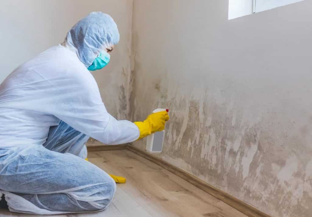 Mold Assessment Services - Mold Testing services in Kendall Florida | Mold Assessment Services Mold Assessment Services - Mold Testing services in Kendall Florida
